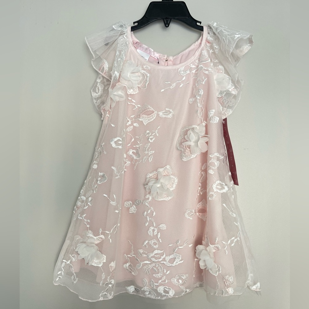 NWT Biscotti Collezioni Girls 3D Lace Girls Dress Light Pink Size 4